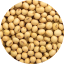 Soy Bean Seed Extract